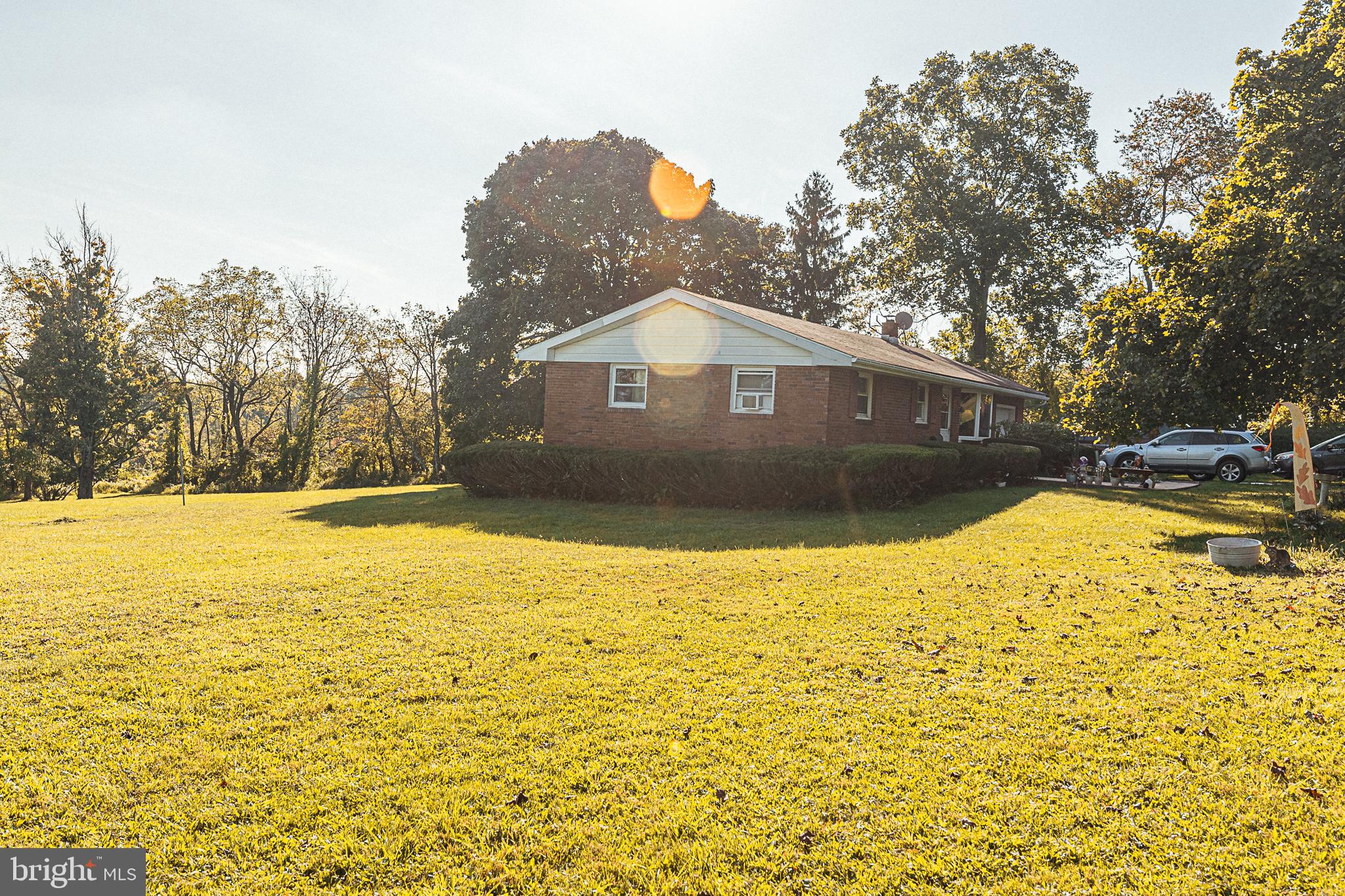 Side yard