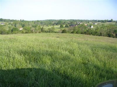 1635 Bonds Mill Road Lawrenceburg, KY 40342 - Photo 5 of 9 Photo 5