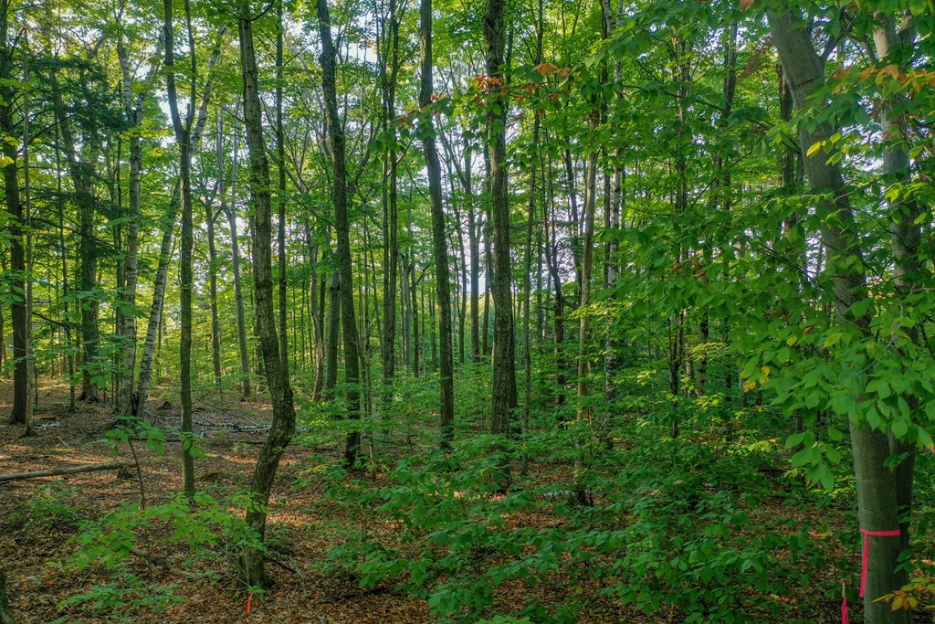 Bluff Pass Egg Harbor, WI 54209 - Photo 9 of 11