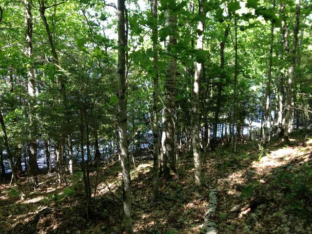 10910 Annabelle Shores Road Presque Isle, WI 54557 - Photo 3 of 4 Gallery Image 3