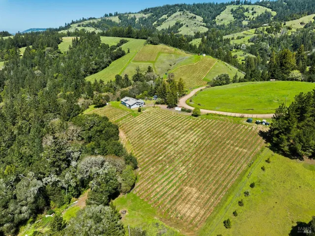 an aerial view of a residential houses