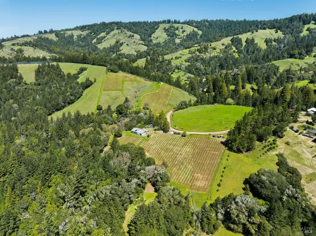 an aerial view of a residential houses with outdoor space and trees all around