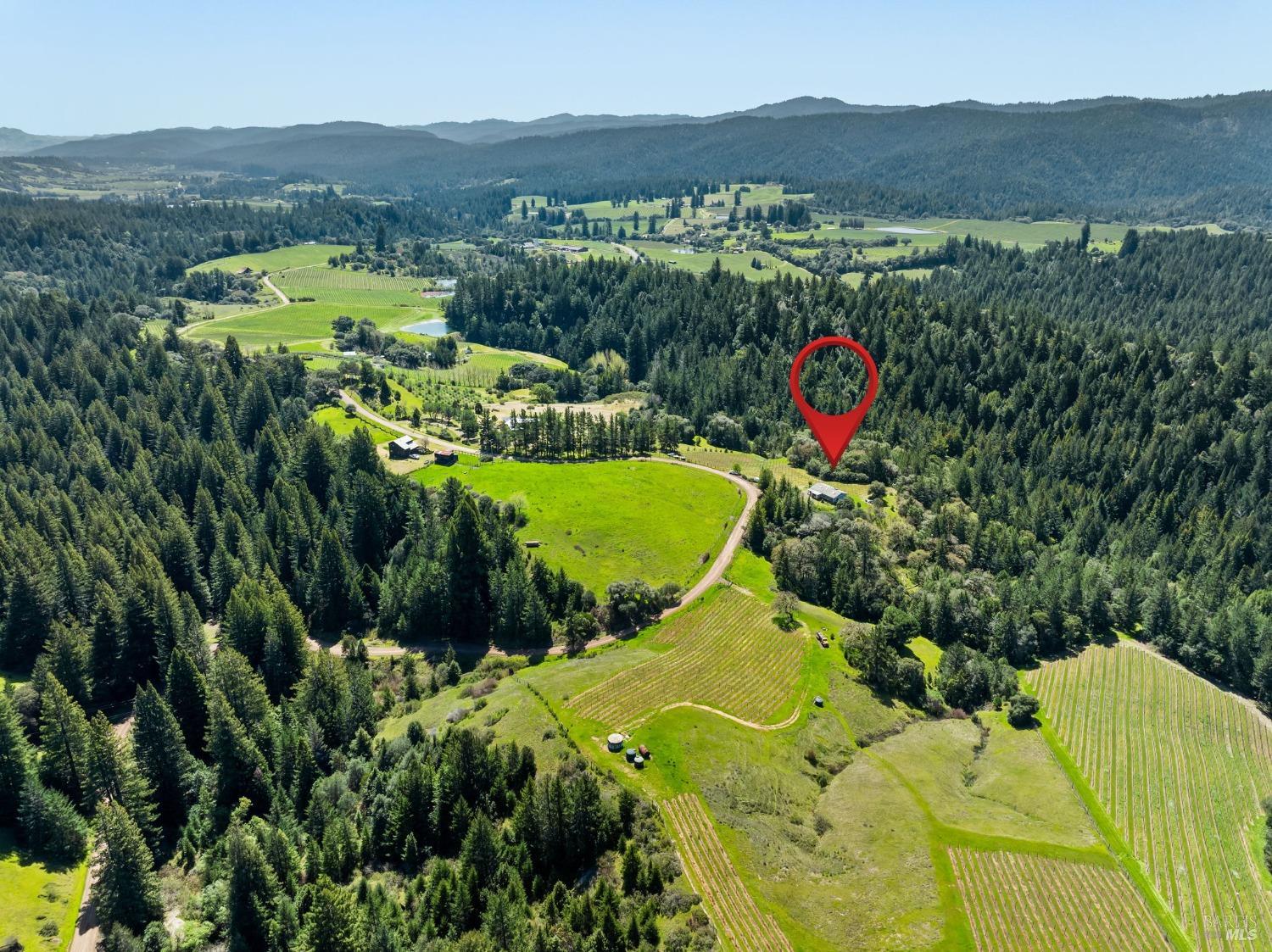 1550 Guntly Road Philo, CA 95466 - Photo 4 of 23 a view of a city with lush green forest