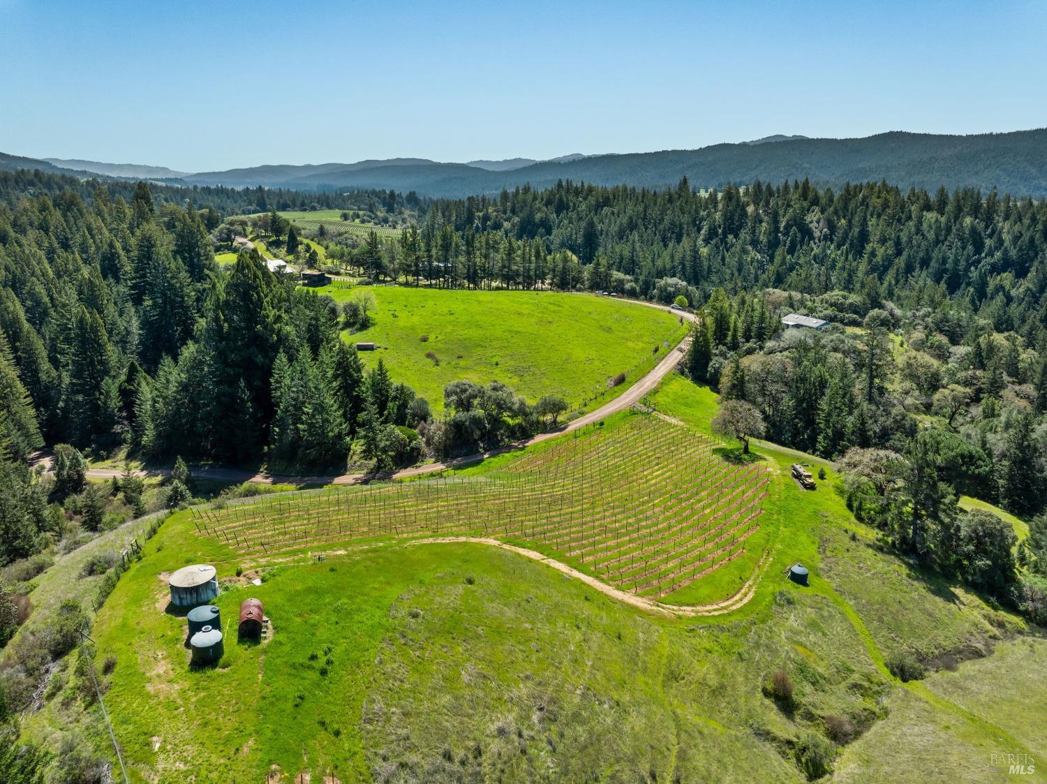 1550 Guntly Road Philo, CA 95466 - Photo 5 of 23 a view of a swimming pool with a yard