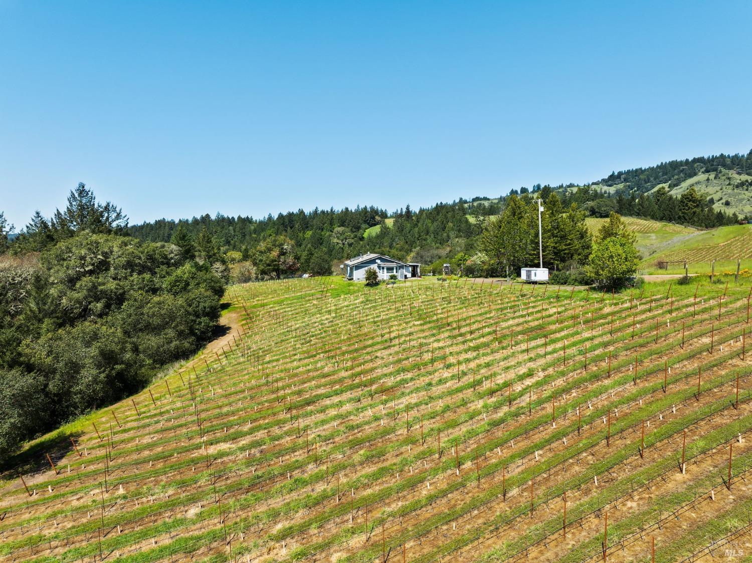 1550 Guntly Road Philo, CA 95466 - Photo 6 of 23 a view of a lake view