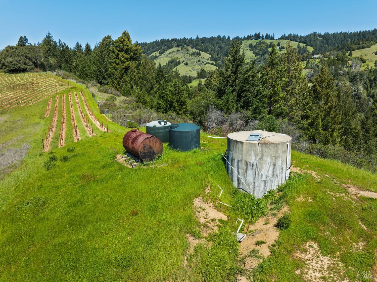 1550 Guntly Road Philo, CA 95466 - Photo 7 of 23 a garden view with a swimming pool