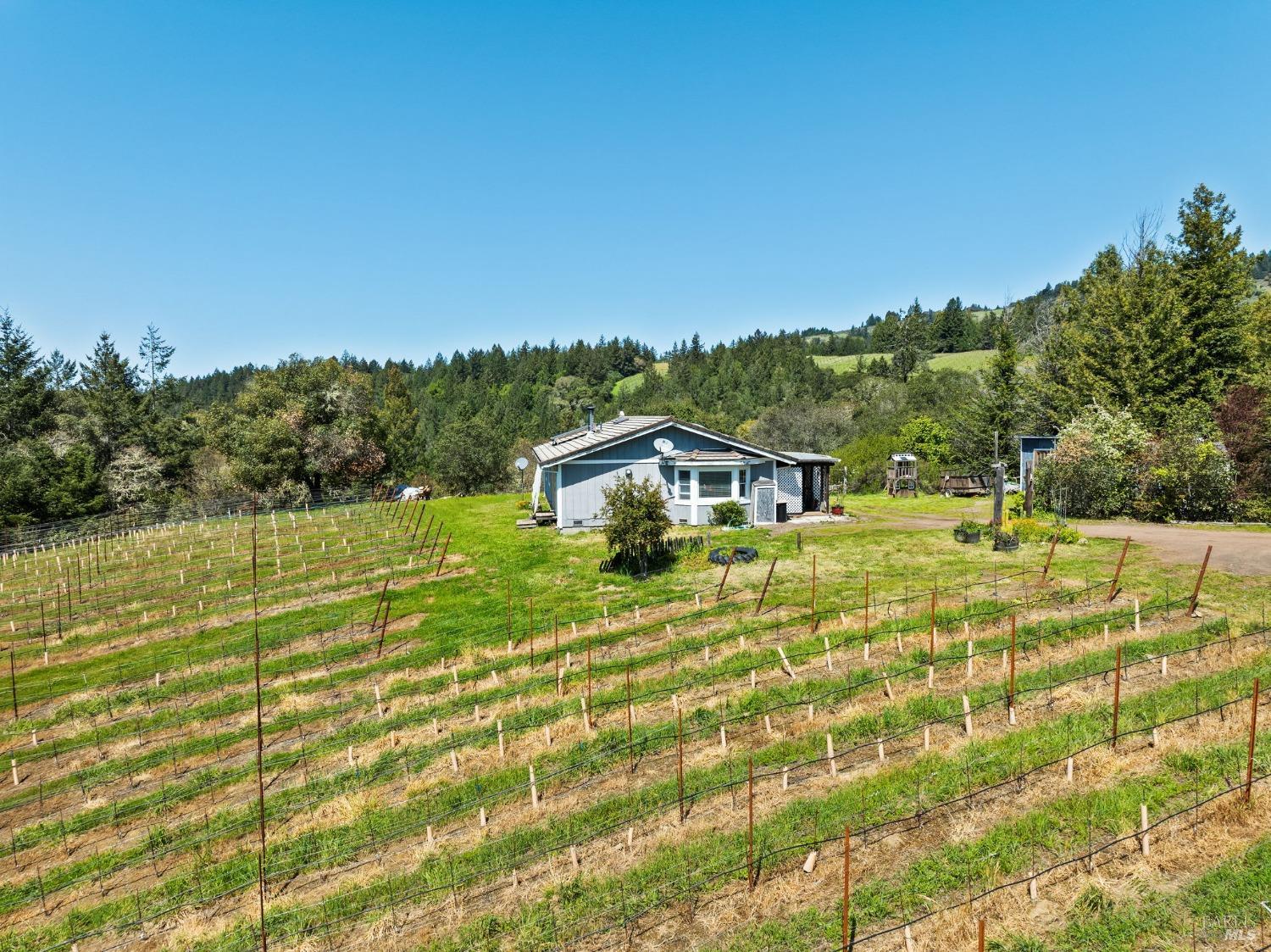 1550 Guntly Road Philo, CA 95466 - Photo 8 of 23 a view of a house with a yard