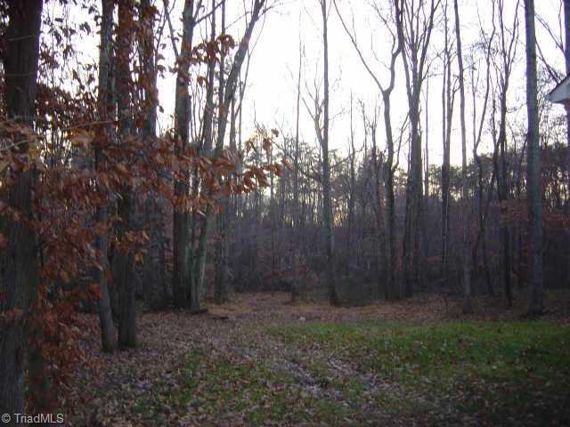 180 Goose Road Stokesdale, NC 27357 - Photo 7 of 7 Other. Back of lot