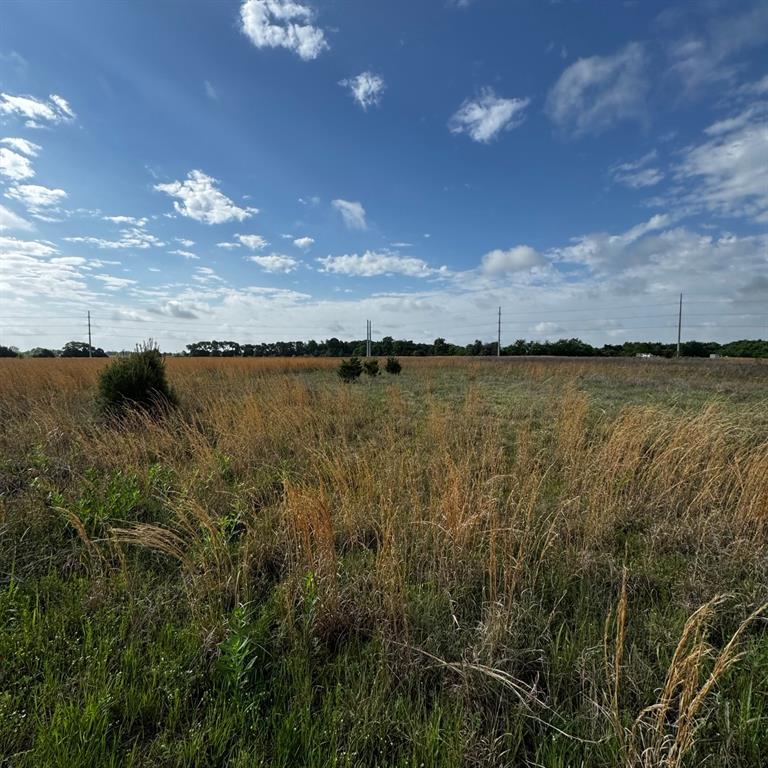 3415 Vz County Road Wills Point, TX 75169 - Photo 4 of 4