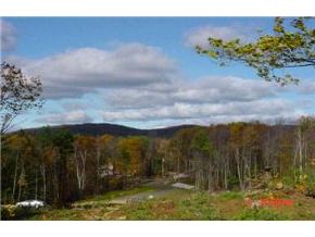 13 Poor Farm Road Deerfield, NH 03037 - Photo 7 of 9