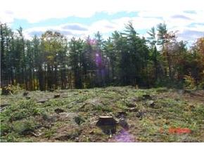 13 Poor Farm Road Deerfield, NH 03037 - Photo 8 of 9