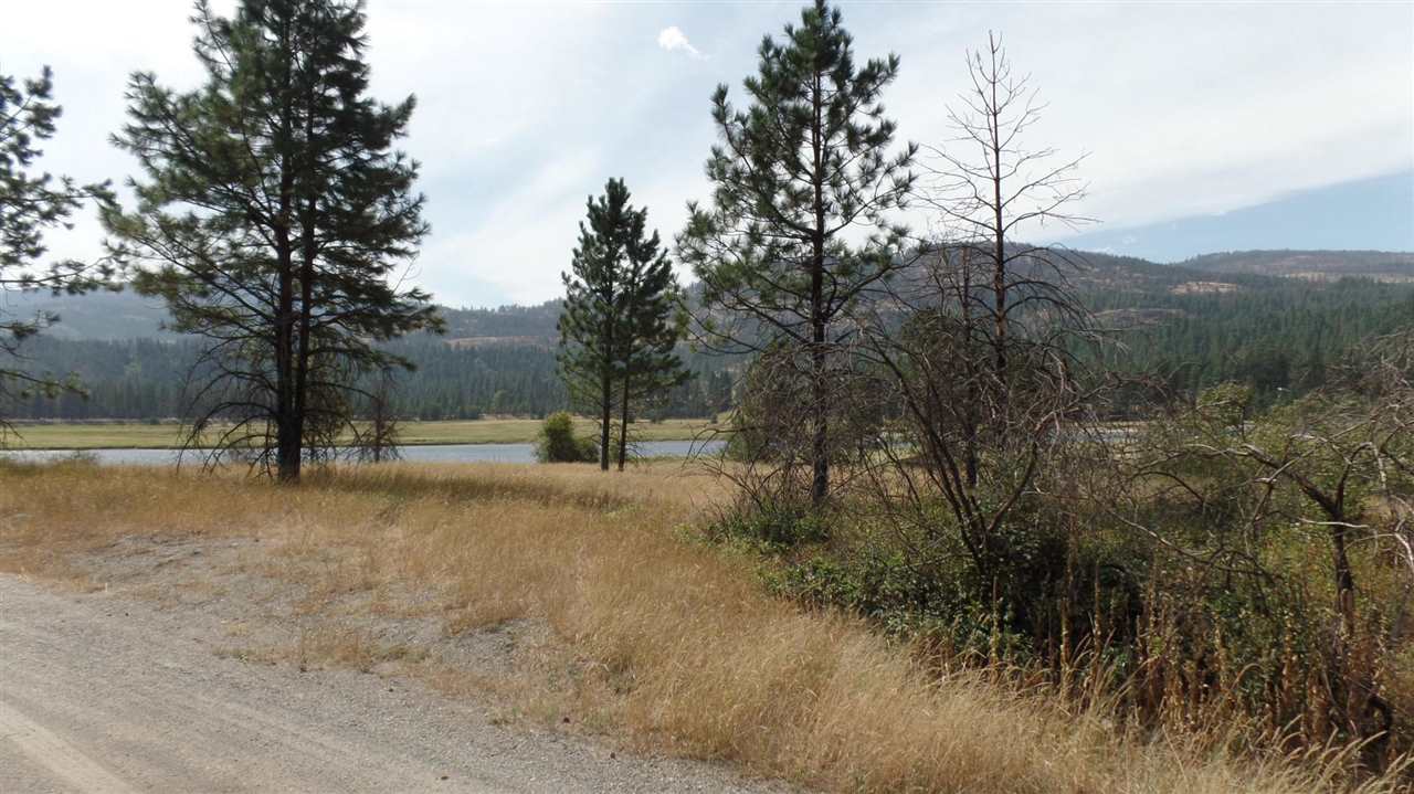Tbd Kettle River Road Kettle Falls, WA 99141 - Photo 8 of 20 Gallery Image 8