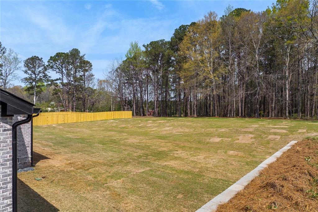 3403 Bold Springs Road Monroe, GA 30656 - Photo 63 of 69