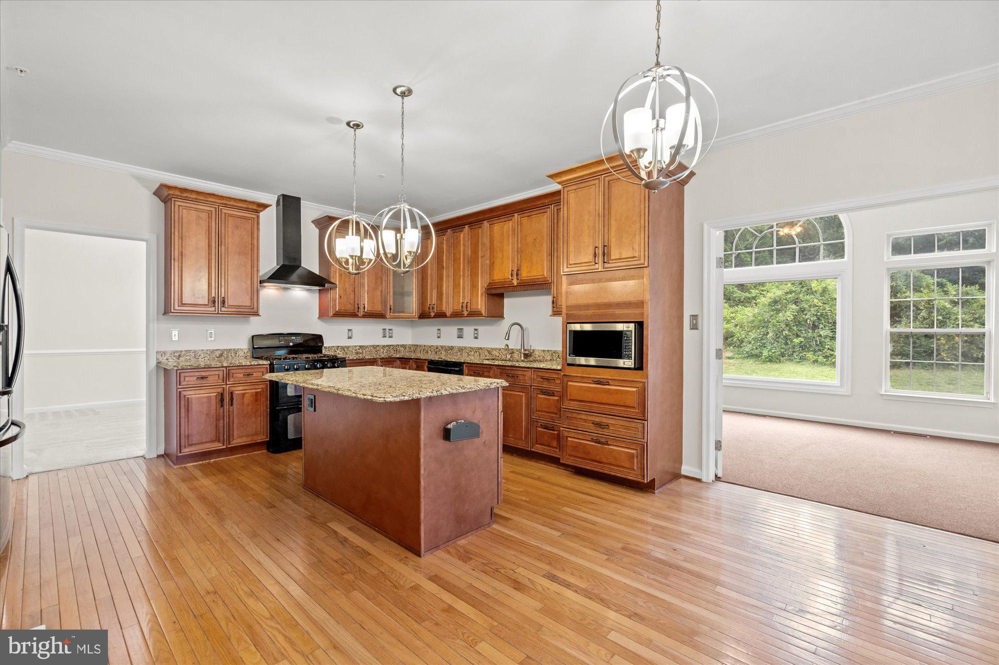 9618 Stuart Lane Clinton, MD 20735 - Photo 6 of 38 Custom Renovated Kitchen
