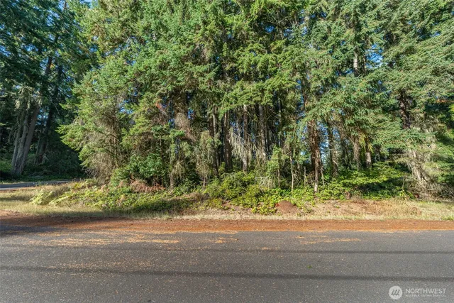 a small yard with green space