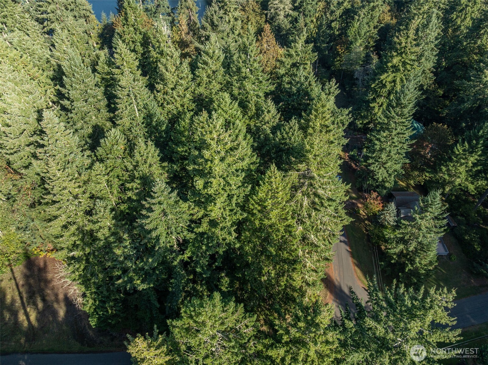 10102 104th Avenue Anderson Island, WA 98303 - Photo 5 of 8 an aerial view of residential house with outdoor space and trees all around