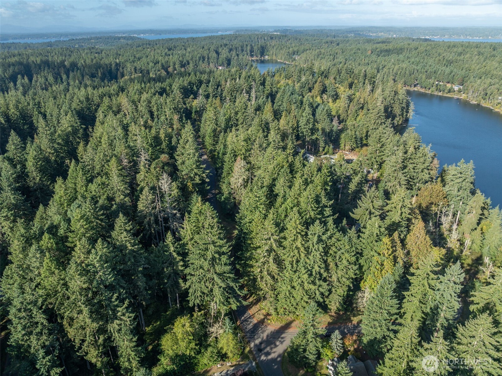 10102 104th Avenue Anderson Island, WA 98303 - Photo 6 of 8 a view of a city with lush green forest