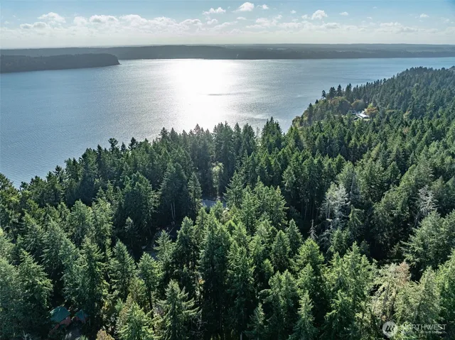 a view of a lake from a yard