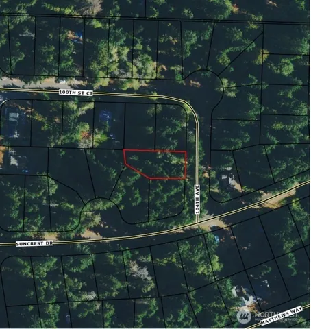 a view of a flower in a yard