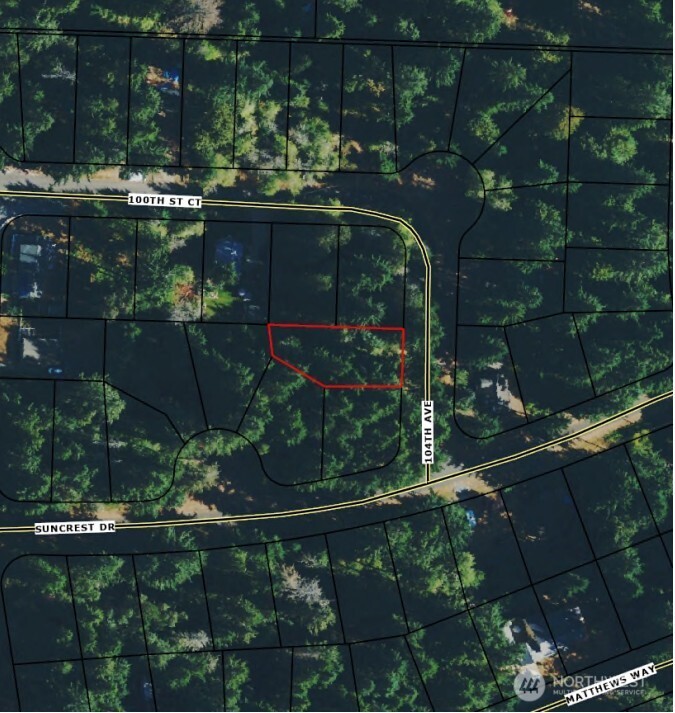 10102 104th Avenue Anderson Island, WA 98303 - Photo 8 of 8 a view of a flower in a yard