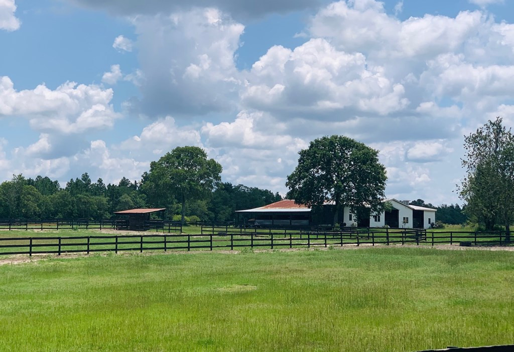 405 Cadle Crossing Road Windsor, SC 29856 - Photo 2 of 43