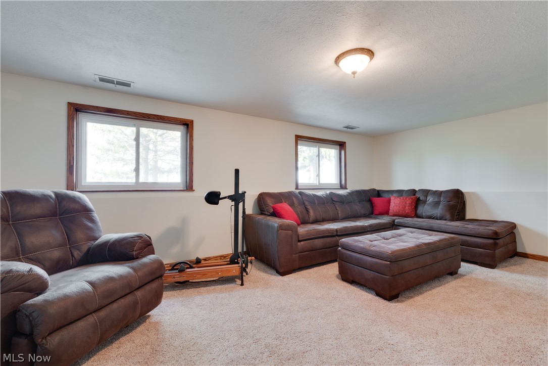 8123 Tower Road Seville, OH 44273 - Photo 19 of 30