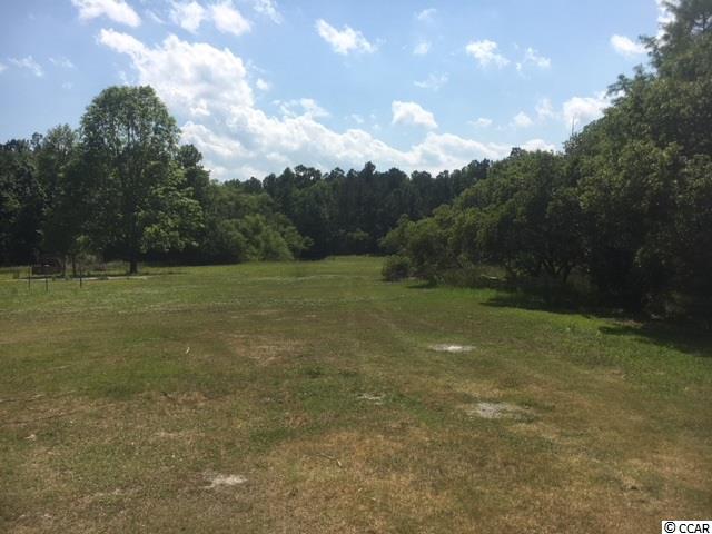 267 Oak Log Lake Road Conway, SC 29526 - Photo 5 of 20 Gallery Image 5