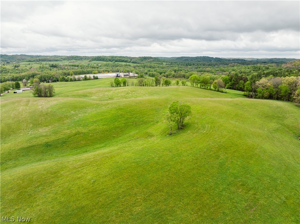 Timmerman Road Bowerston, OH 44695 - Photo 25 of 26