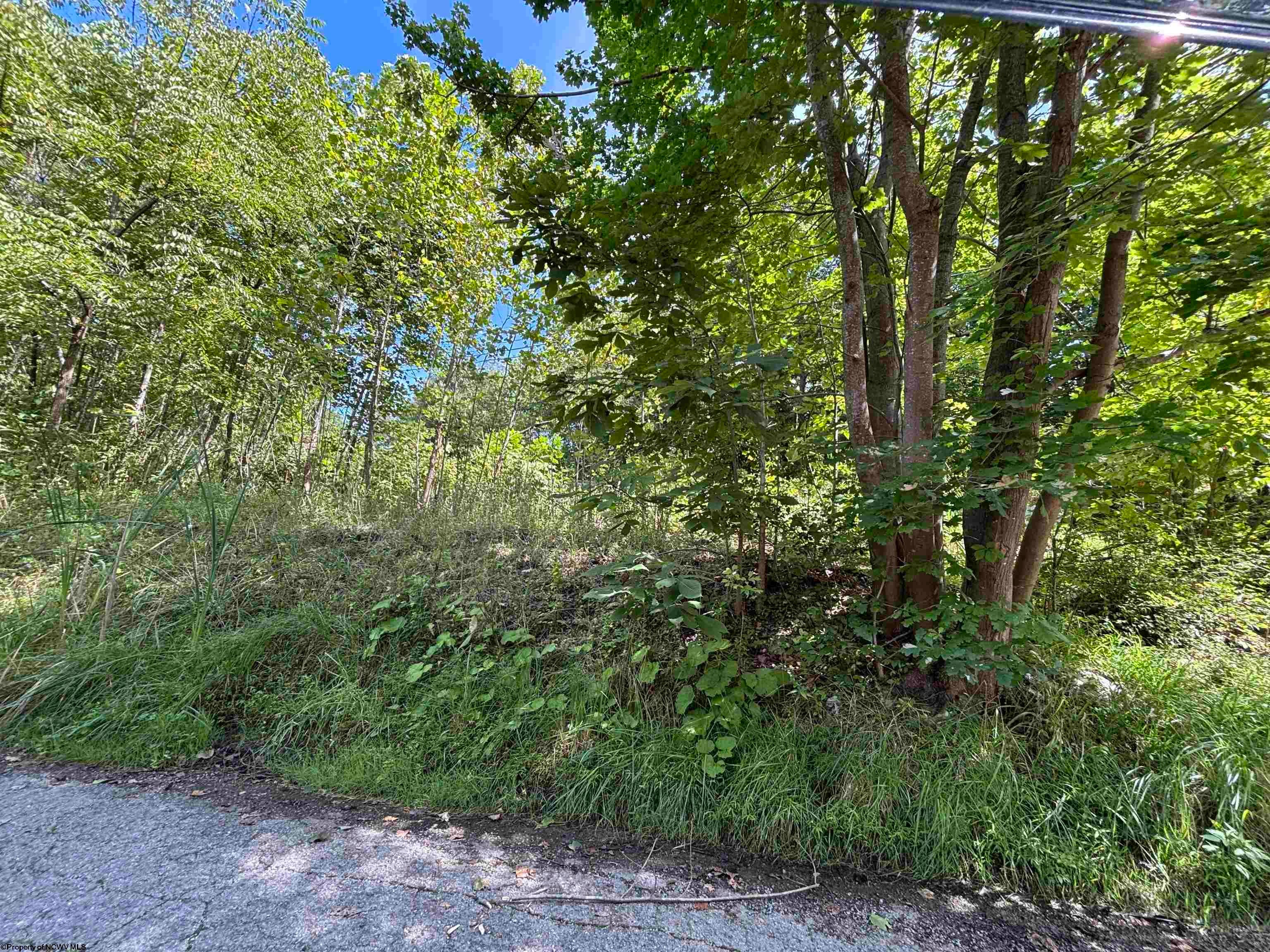 165 Merdian Road Philippi, WV 26416 - Photo 8 of 9 Gallery Image 8