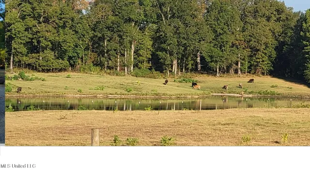 $350,000 | I55 East Frontage Road, Terry, MS 39170