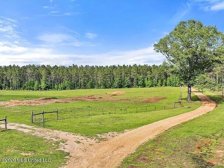I55 East Frontage Road Terry, MS 39170 - Photo 4 of 10 IMG_3951