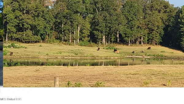 $350,000 | I55 East Frontage Road, Terry, MS 39170