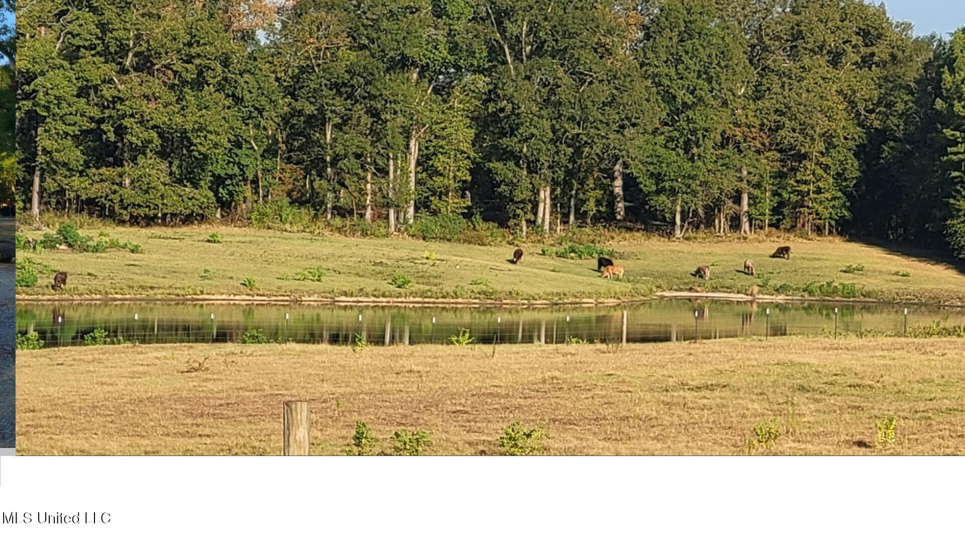 I55 East Frontage Road Terry, MS 39170 - Photo 5 of 10 LAKE