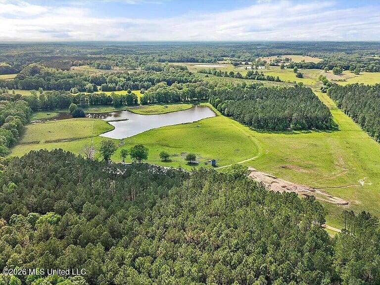 I55 East Frontage Road Terry, MS 39170 - Photo 9 of 10 IMG_3956