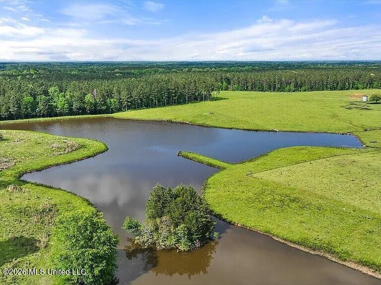I55 East Frontage Road Terry, MS 39170 - Photo 10 of 10 IMG_3948