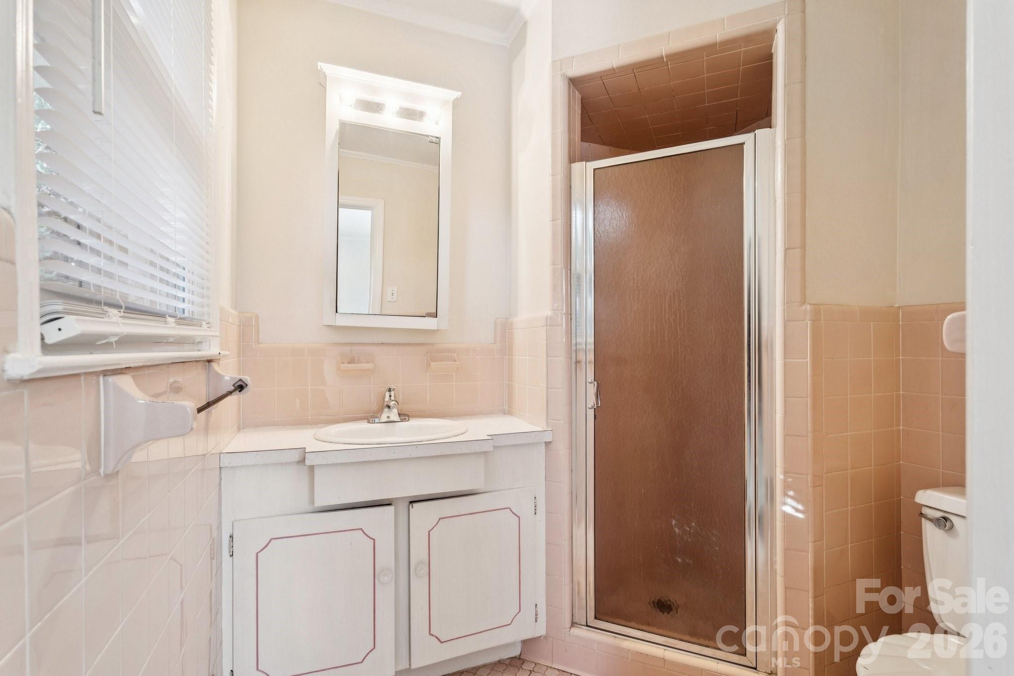 9525 Brief Road Charlotte, NC 28227 - Photo 28 of 46 a bathroom with a sink a toilet and shower
