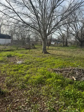 a view of a yard with a tree
