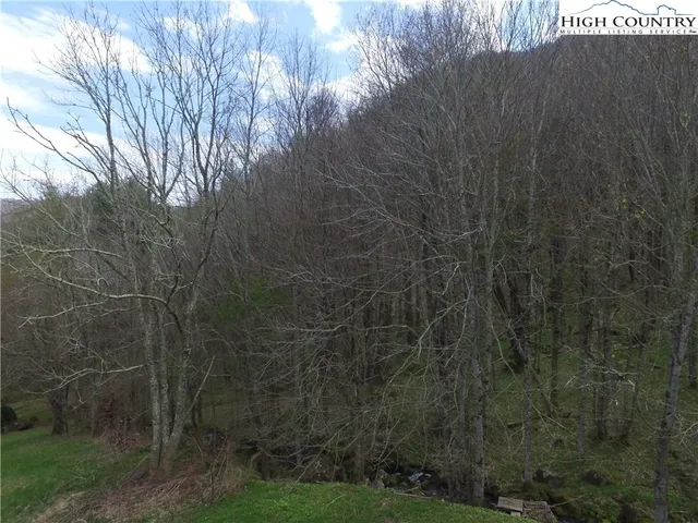 a view of backyard with green space