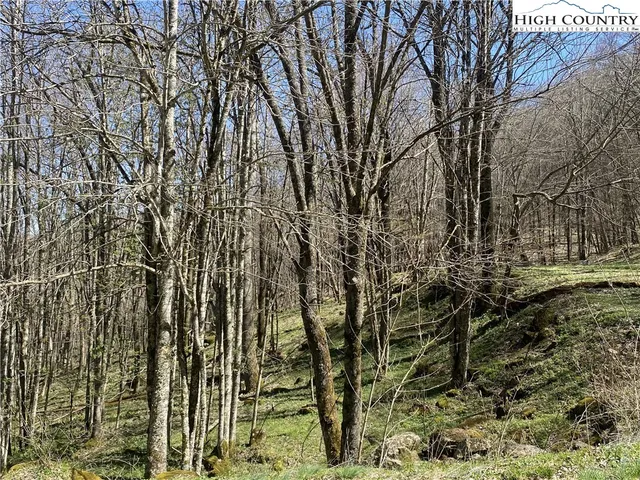 $39,500 | 1 Trillium Creek Run, Newland, NC 28657