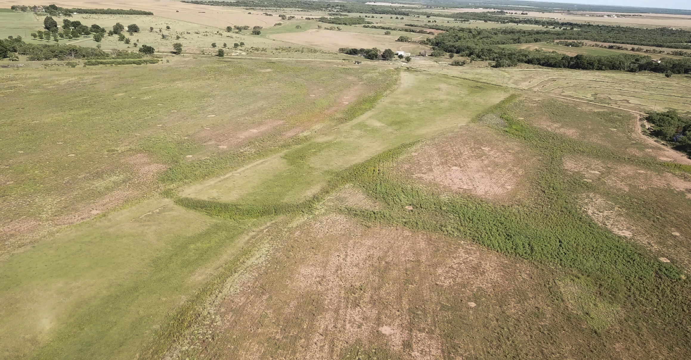 354 Co Road Winters, TX 79567 - Photo 3 of 23 Untitled-4