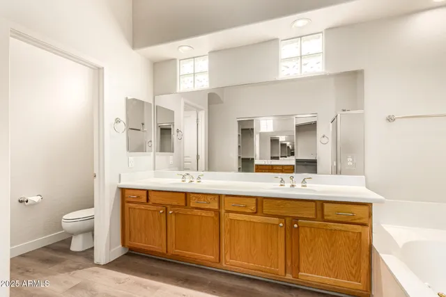 a bathroom with a double vanity sink a mirror and a toilet