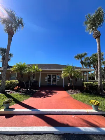 a view of a yard with plants