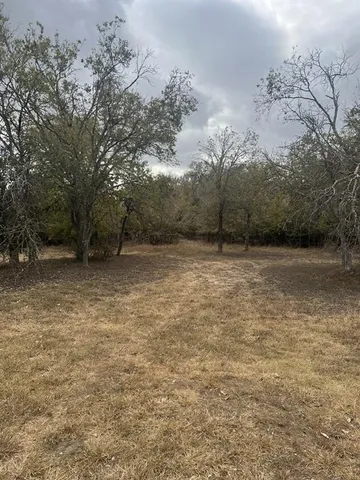 a view of a yard with a tree