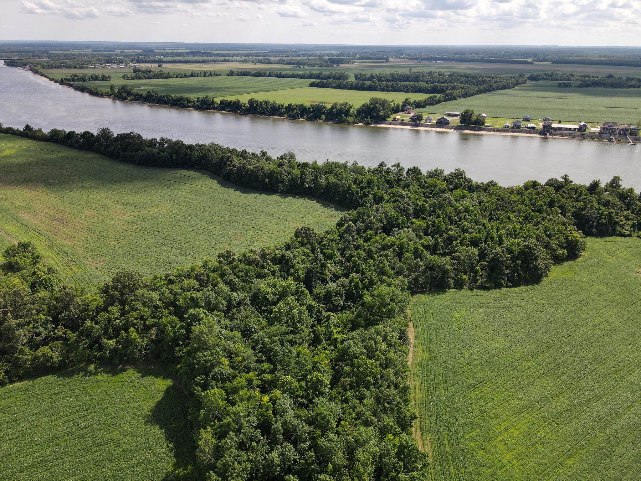 859 Cravens Road Savannah, TN 38372 - Photo 1 of 40 a view of a lake with a city