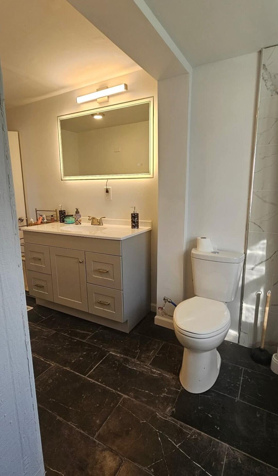 341 George Martin Drive Ridgeway, VA 24148 - Photo 8 of 11 a bathroom with a toilet a sink and mirror