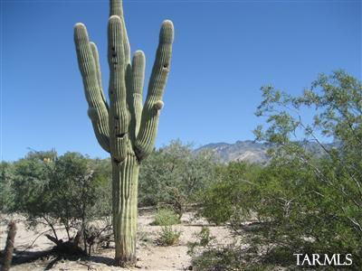 3409 East River Road Tucson, AZ 85718 - Photo 1 of 7 Gallery Image 1