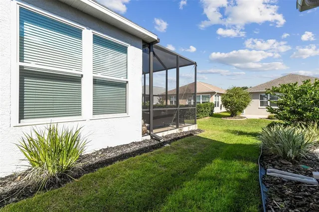 a view of backyard with plants and large tree