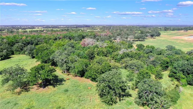 a view of a green field with lots of plants in it