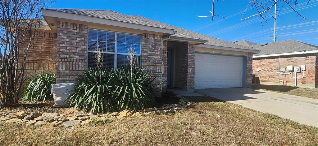 a view of a backyard with potted plants
