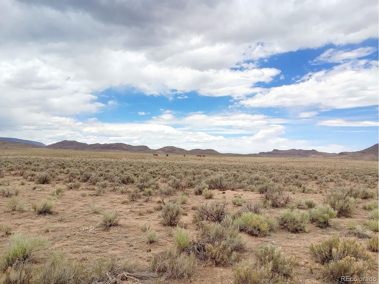 40 County Road Sanford, CO 81151 - Photo 13 of 19